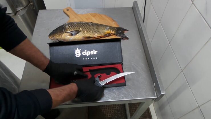 Best Fillet Knife For Panfish Buying Guide