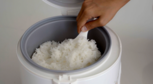 Best Zojirushi Rice Cooker